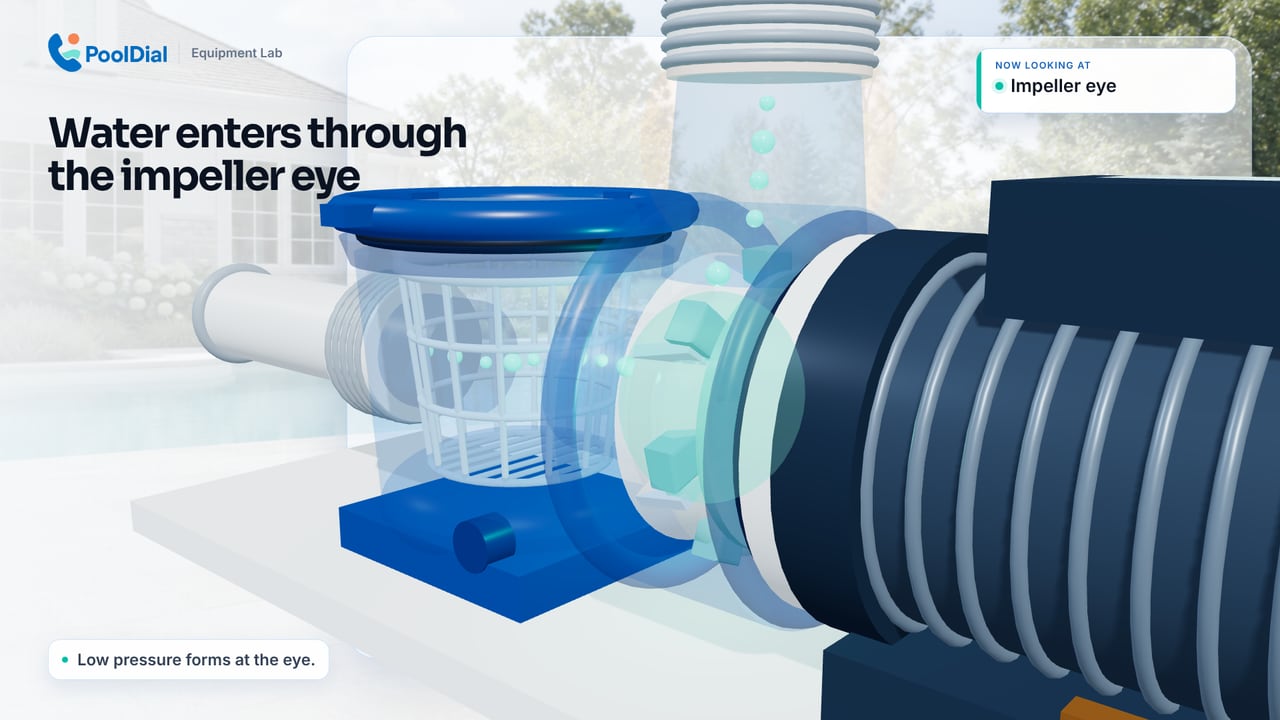 Pool pump cutaway showing water entering the impeller eye