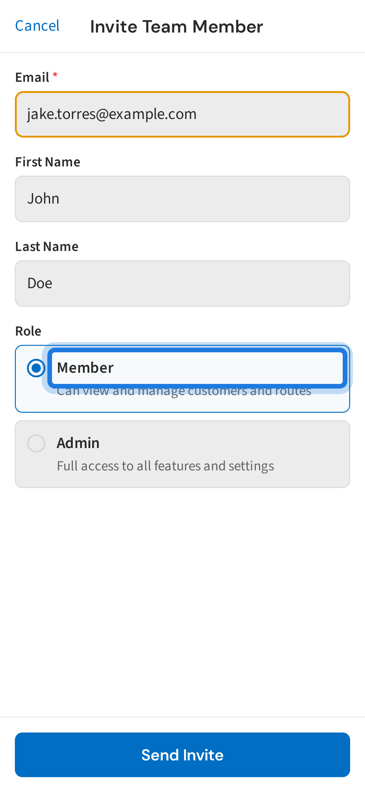 Choose a role for the new team member